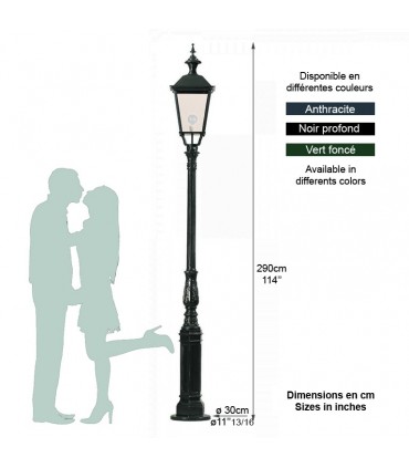 Lampadaire DRESDEN sur poteau 2,90m