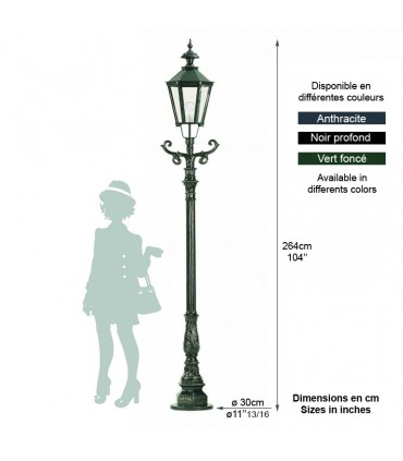 Lampadaire HANOVRE 1 point lumineux sur poteau 264cm