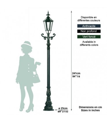 Lampadaire SIEGBOURG 1 point lumineux sur poteau 241cm