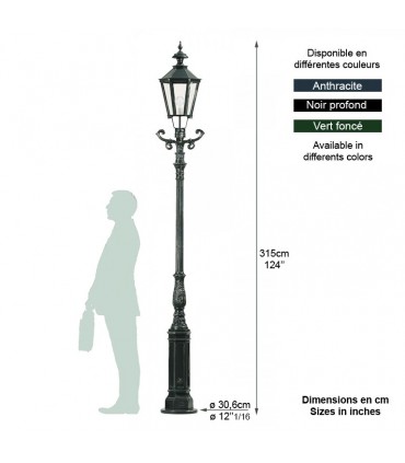 Lampadaire MAGDENBOURG 1 point lumineux sur poteau 264cm