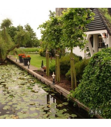 Lampadaire rond A209 chapeau cuivre sur pied 64cm 