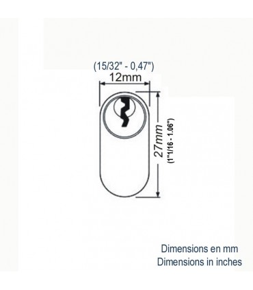 Cylindre ovale 30+30mm en acier zingué avec clefs