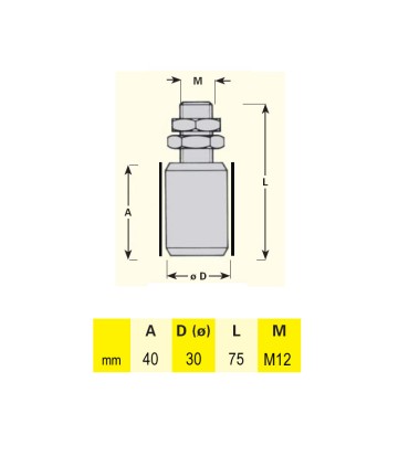 Galet de guidage Ø30x75mm axe M12 avec capot de protection pour portails coulissants