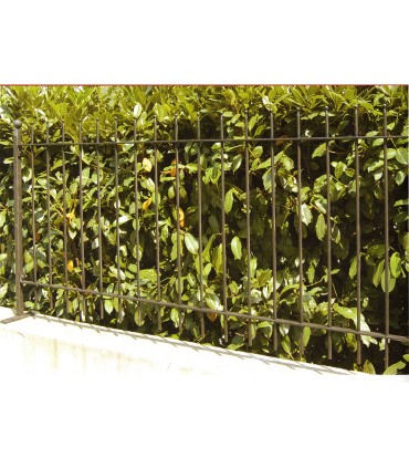 Grille de cloture MILANO 15 prête à poser