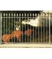 Grille de cloture ROMA 12 prête à poser