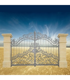 Portail fer forgé DIANA 3.5m carré de 16x16mm galvanisé manuel ou motorisable