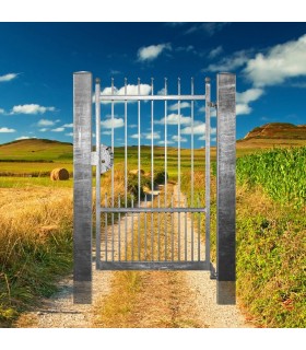 Portillon fer forgé ATENA 1,1m carré de 12x12mm ouverture droite ou gauche