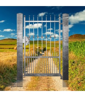 Portillon fer forgé APOLLO 1,1m carré de 12x12mm ouverture droite ou gauche