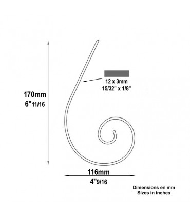 Volute demi C H170mm 12x3mm