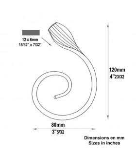 Volute demi C H120mm 12x6mm