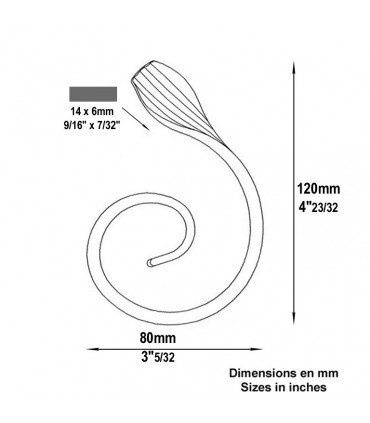 Volute demi C H120mm 14x6mm
