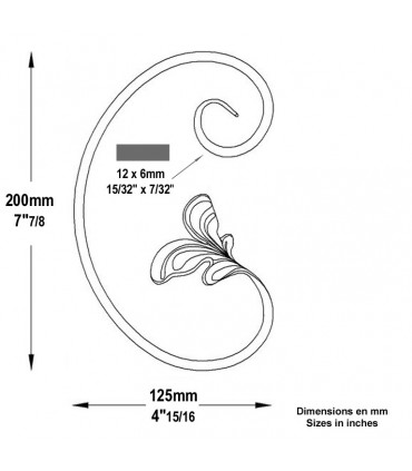 Volute feuille en C H200x125mm 12x6mm